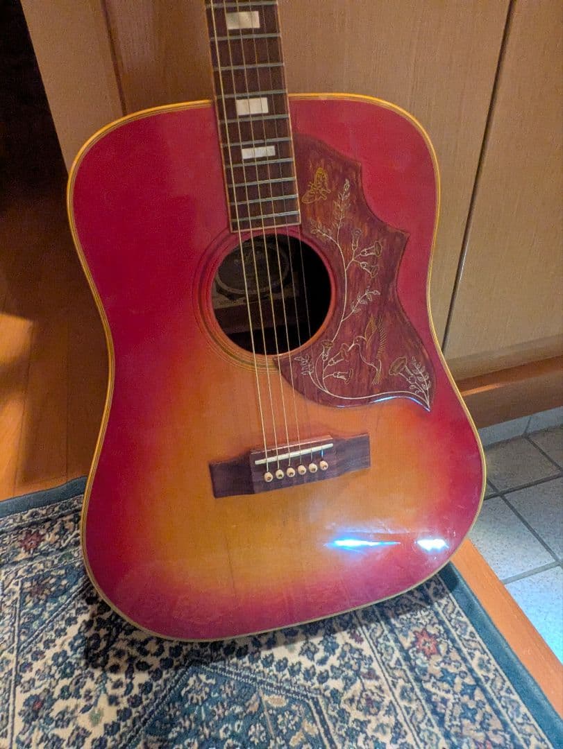 Aria WH30 アコースティックギター