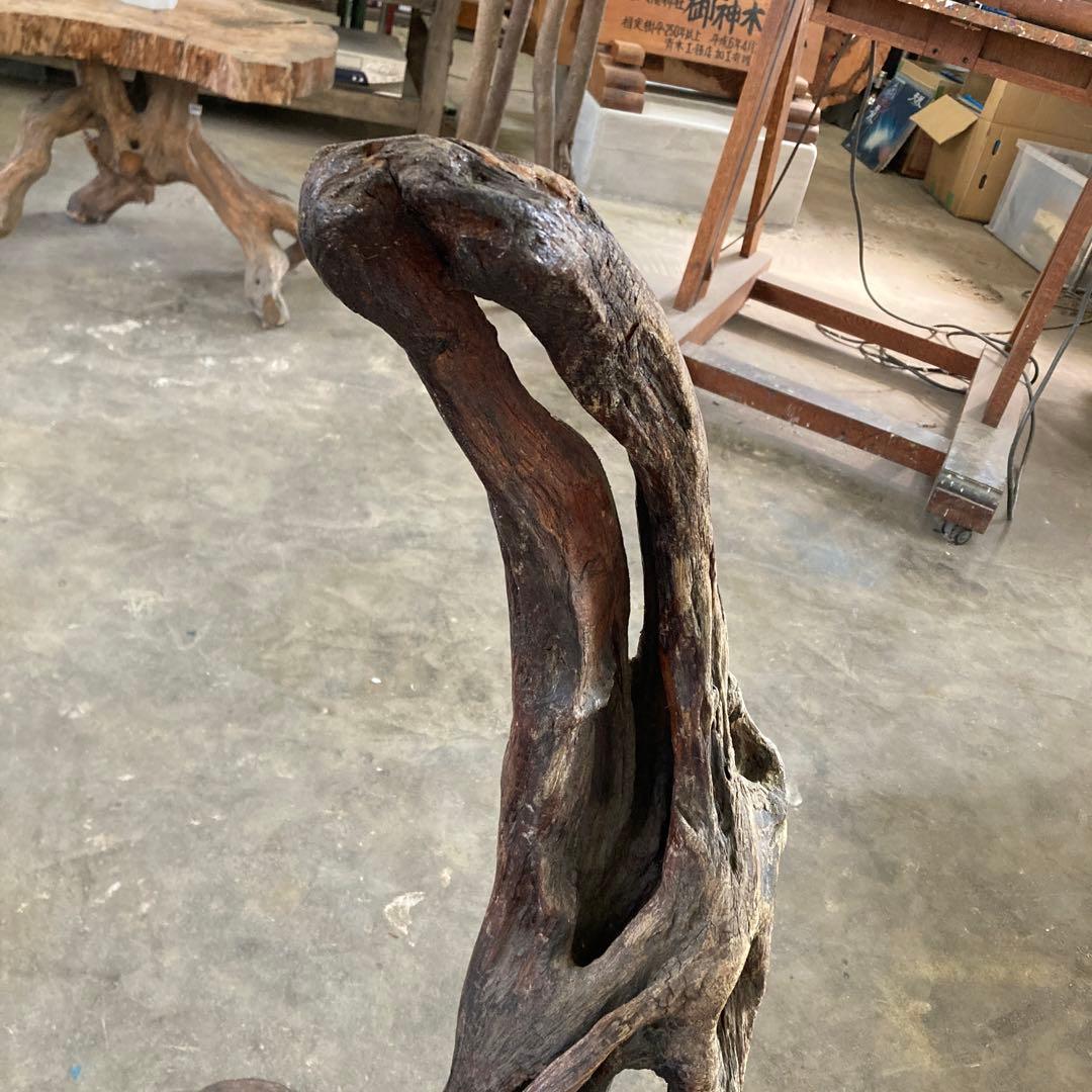 B 空洞美型 流木 枯木 古木 収集品 高さ84.5cm