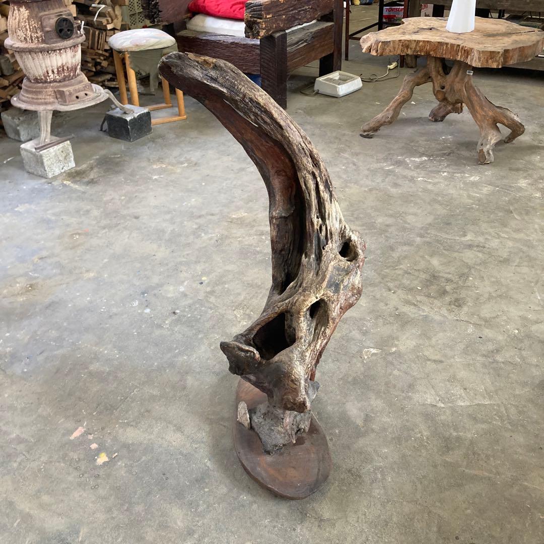 B 空洞美型 流木 枯木 古木 収集品 高さ84.5cm