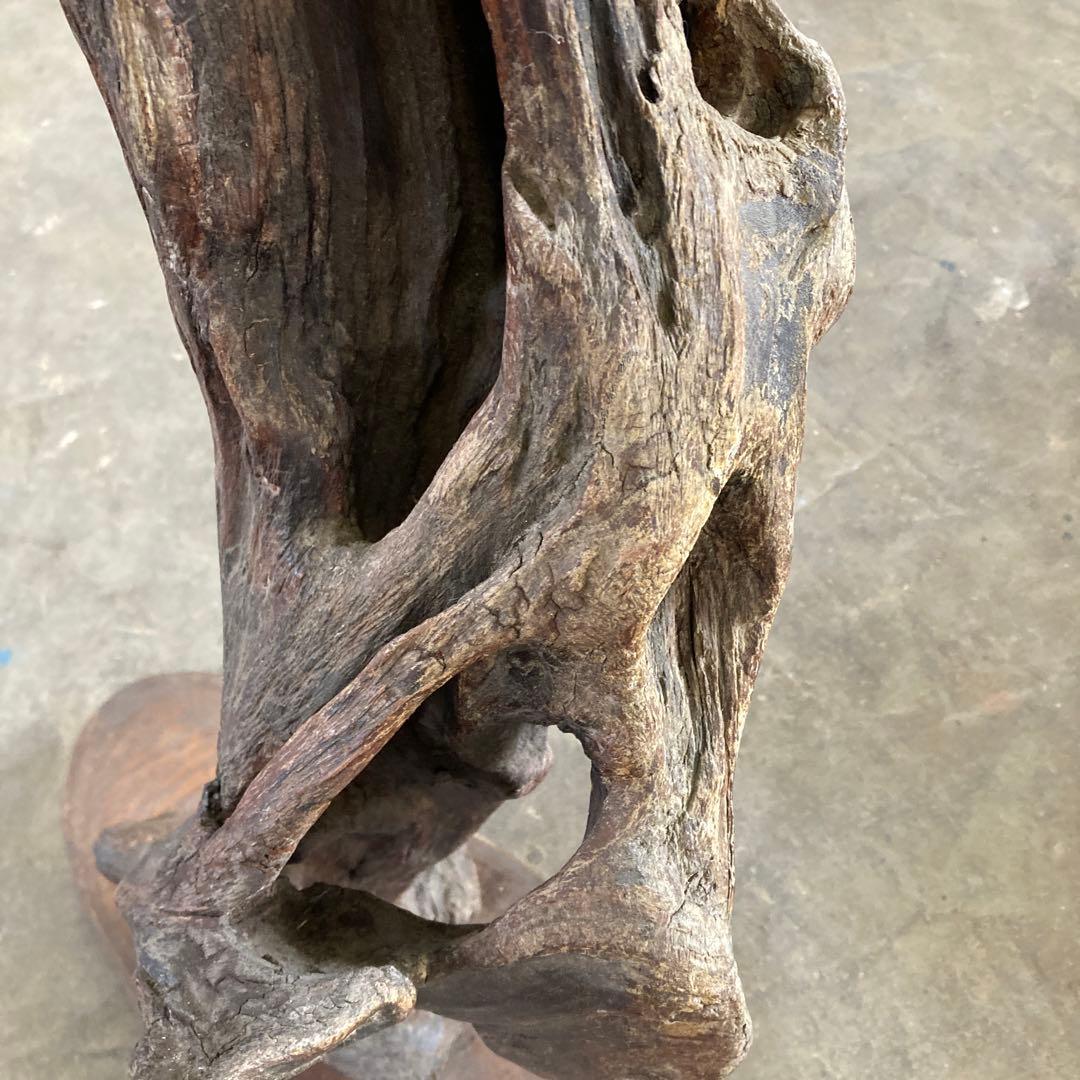 B 空洞美型 流木 枯木 古木 収集品 高さ84.5cm