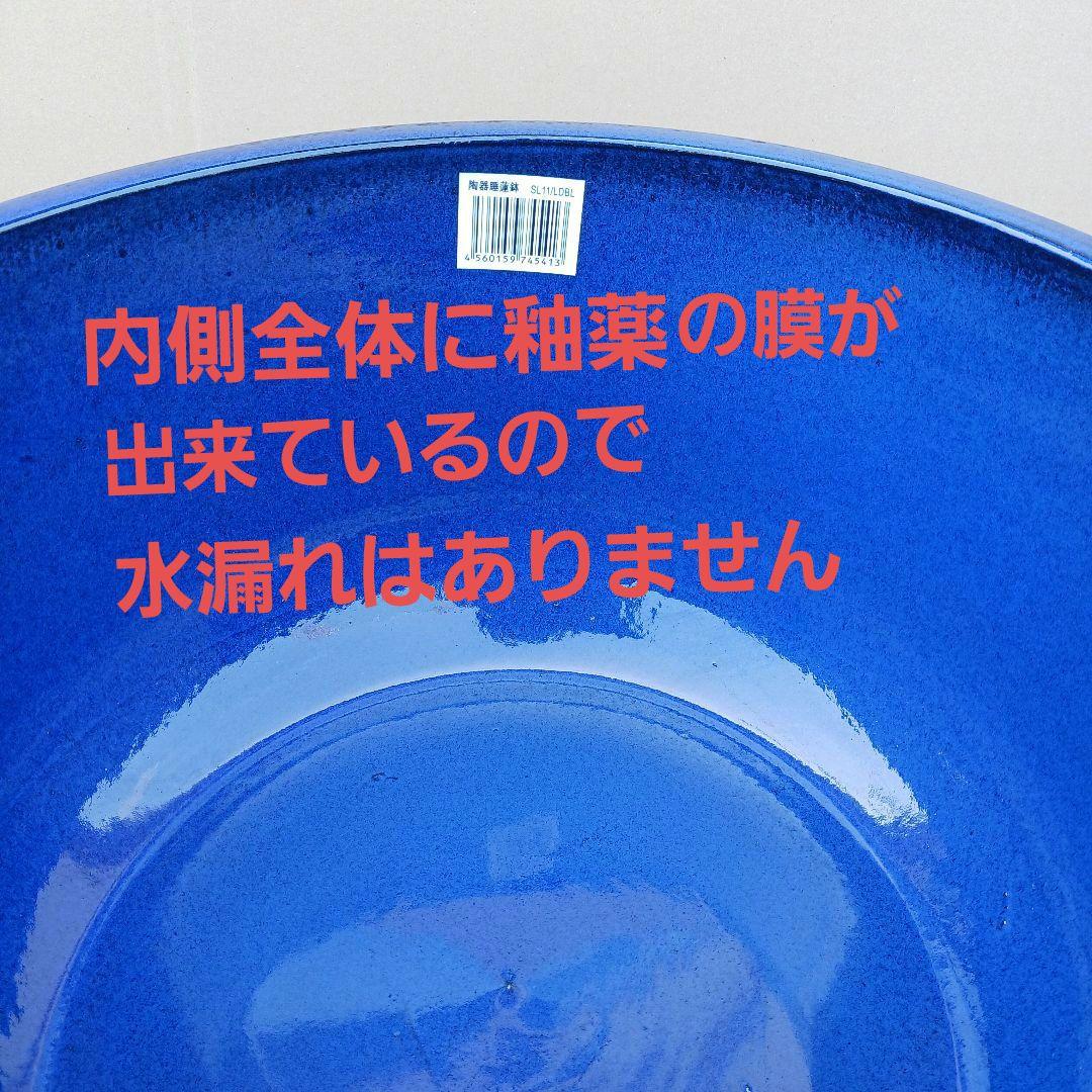 新品　∅49　特大　陶器　睡蓮鉢　手造り　メダカ鉢　難有　ラピスブルー　青LDB