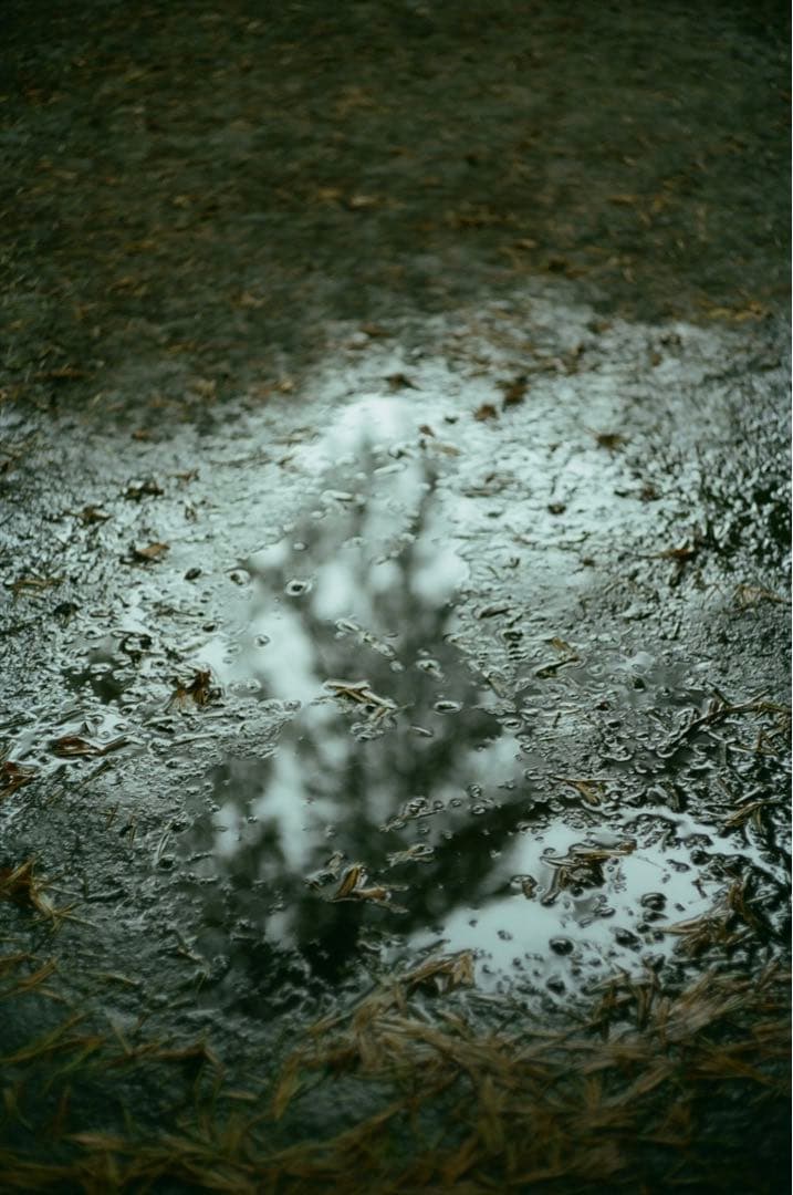 Leica Summicron 50mm f2 Mマウント 沈胴【130万台】