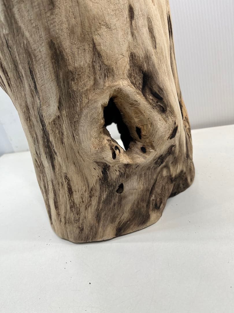 V95 アク抜き済み流木 爬虫類シェルター 登り木 インテリア 生け花