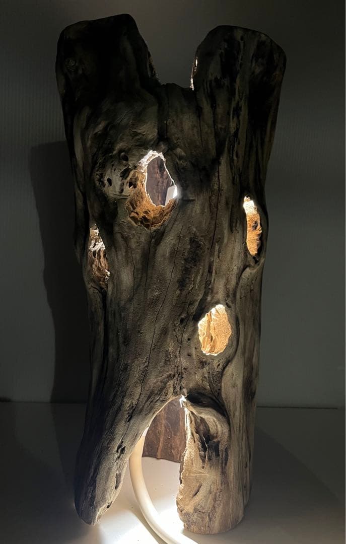 V95 アク抜き済み流木 爬虫類シェルター 登り木 インテリア 生け花