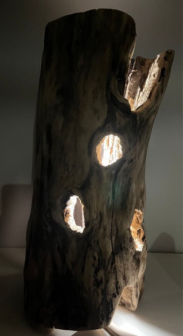 V95 アク抜き済み流木 爬虫類シェルター 登り木 インテリア 生け花