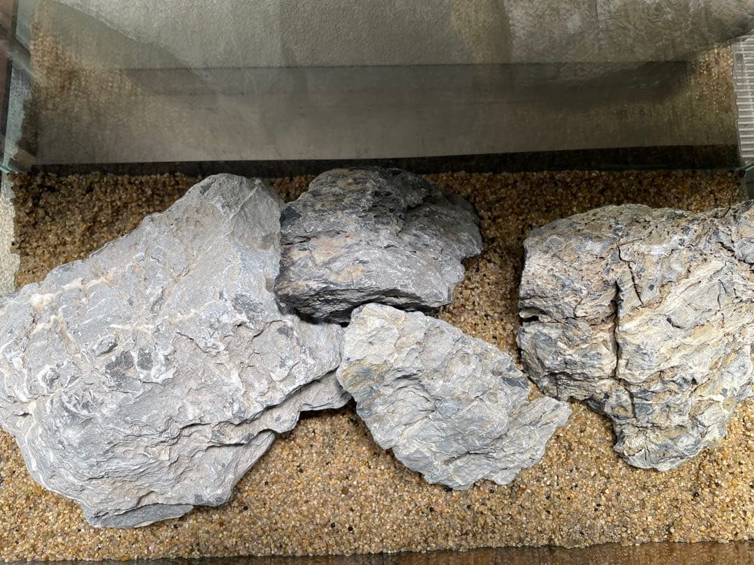 ADA 龍王石　親石サイズ