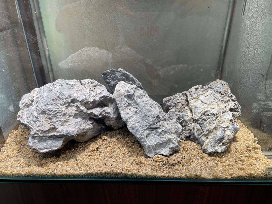 ADA 龍王石　親石サイズ