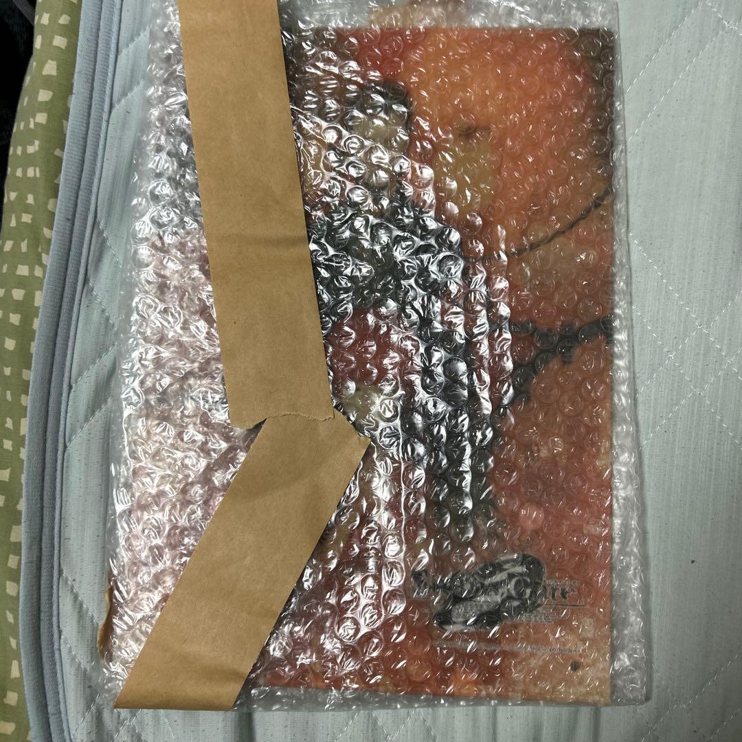 シュタインズ・ゲートゼロ アクリルパネル 牧瀬紅莉栖 スマホケース