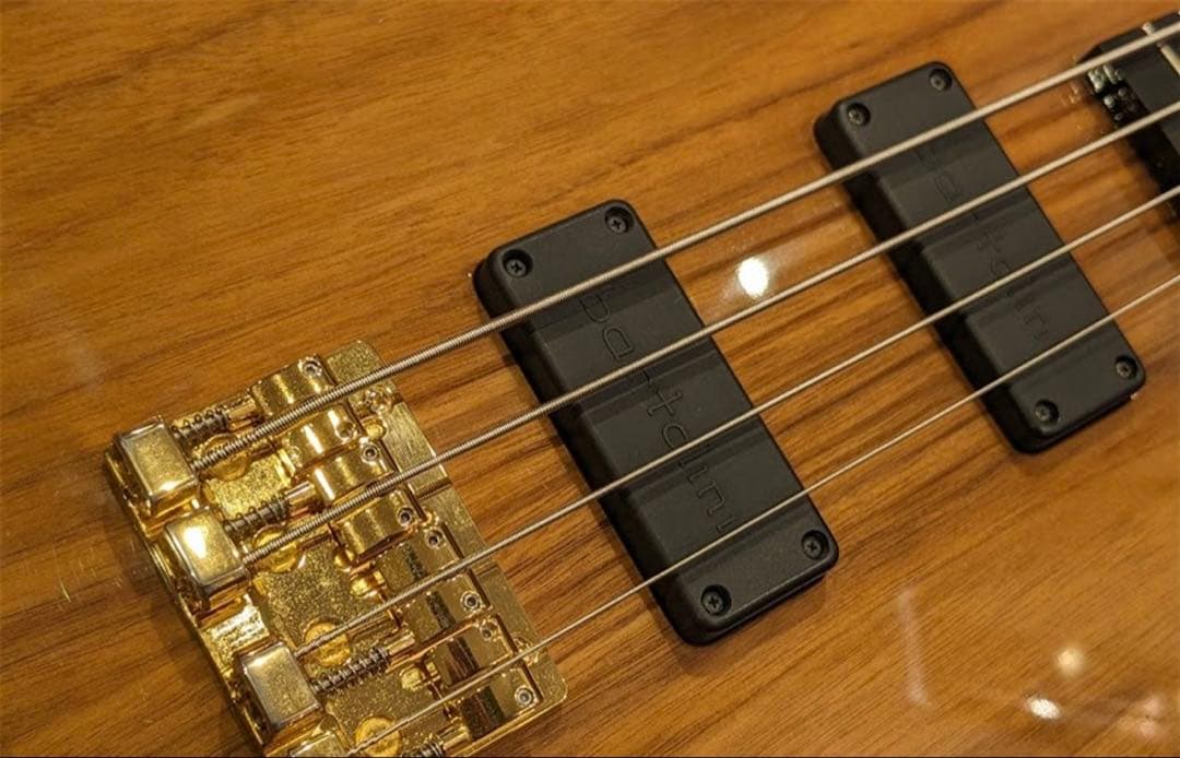 ベース Zon legacy elite jp prototype