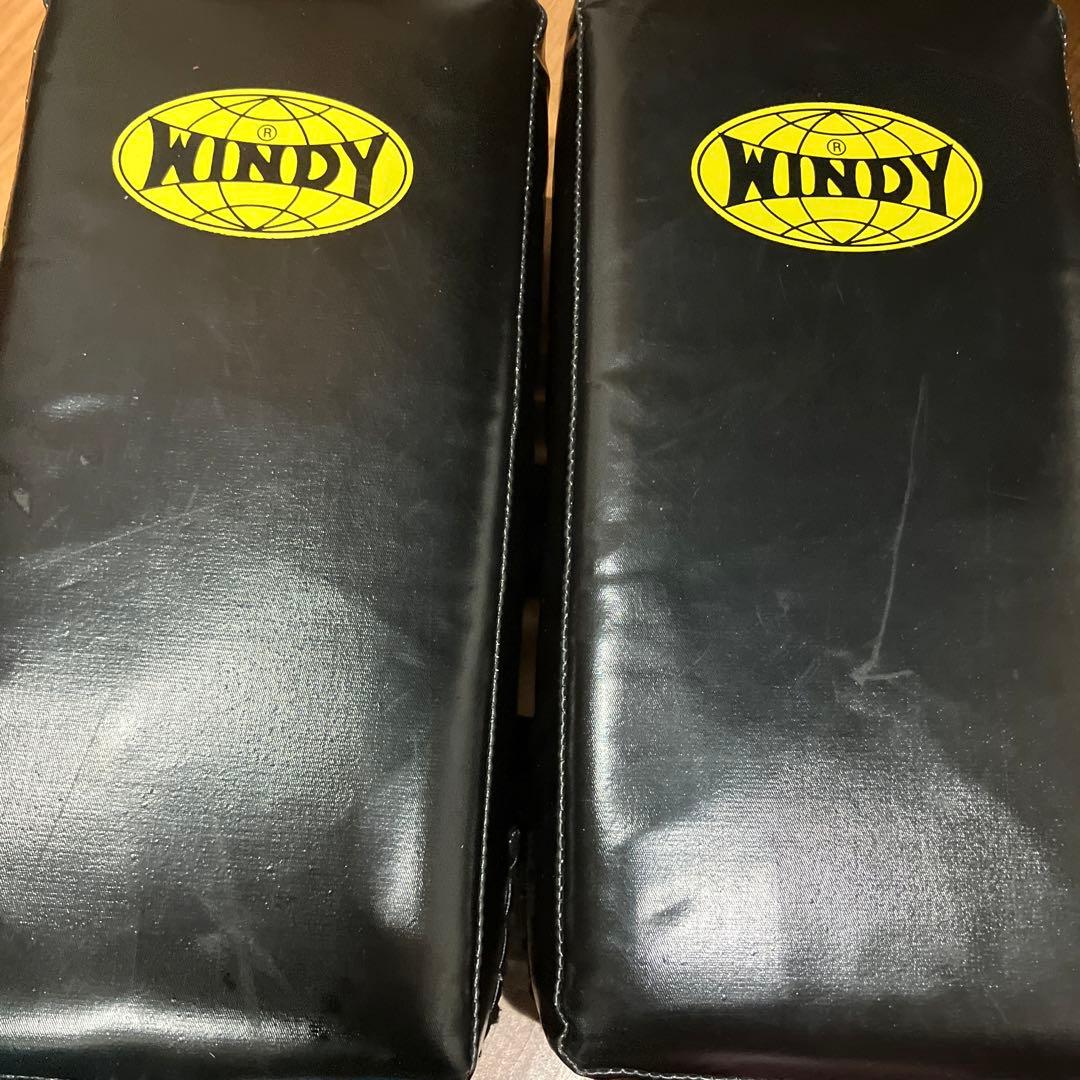 ⭐︎専用⭐︎WINDY ボクシンググローブ Lサイズ 青 ピンク 2セット　キッズ