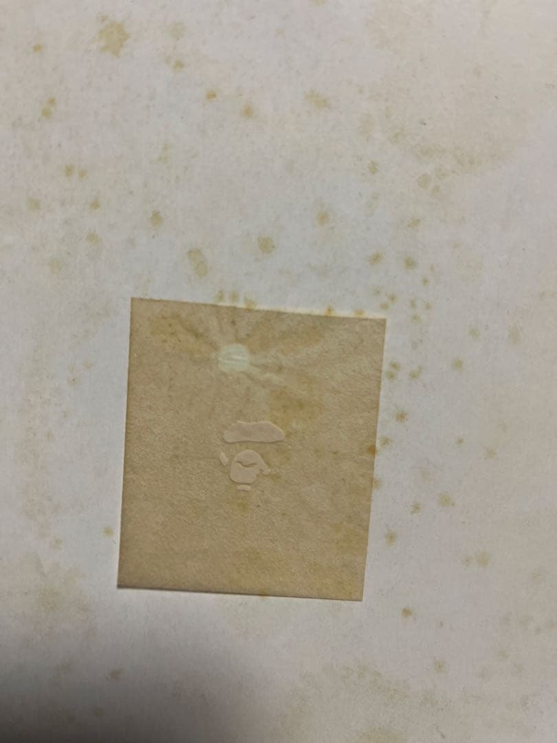 芸術写真 wite the Bathing Ape artbook