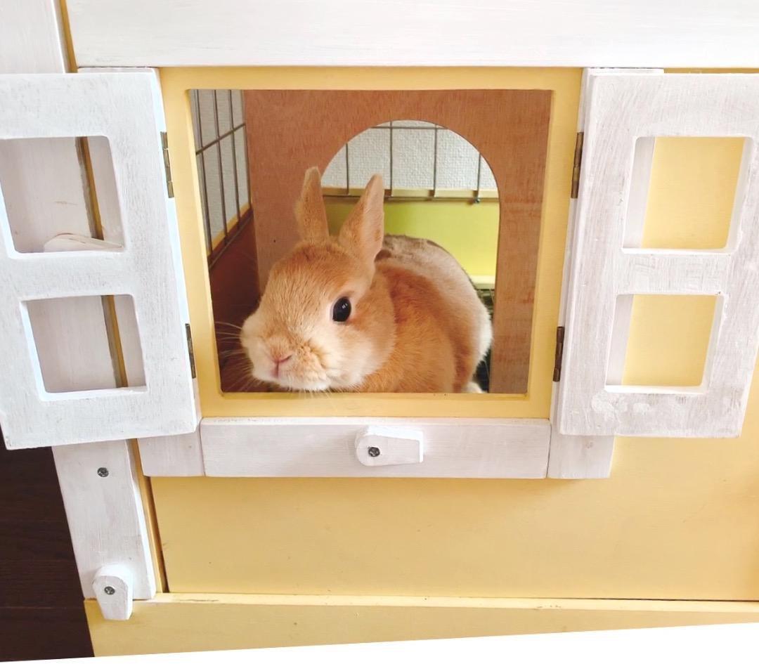 ＊訳あり激安【もちつき】壱番館　北欧デザインペットハウス　うさぎ用ケージ　可愛い