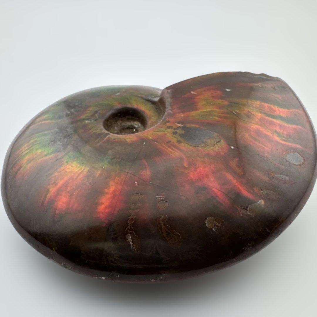 G-3 アンモナイト化石　ファイア　マダガスカル産