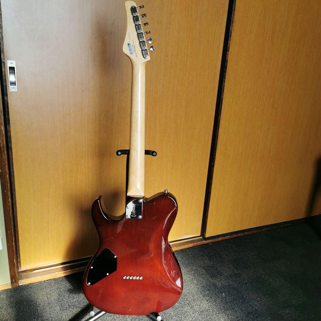 ギター FUJIGEN JIL2-EW1-G/IBS/01