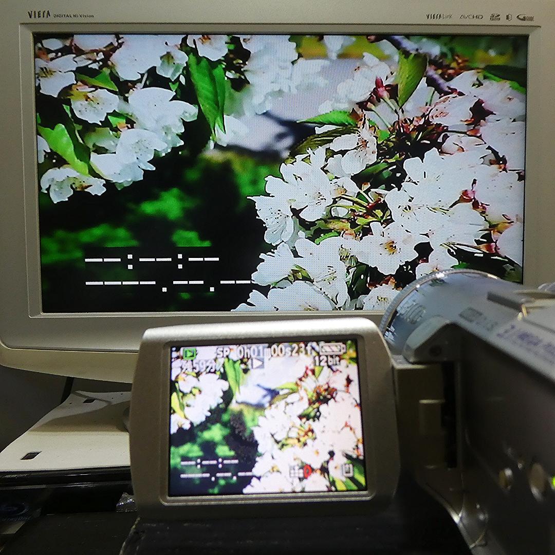 動作良好 パナソニック NV-GS250 MiniDVビデオカメラDVD化に最適