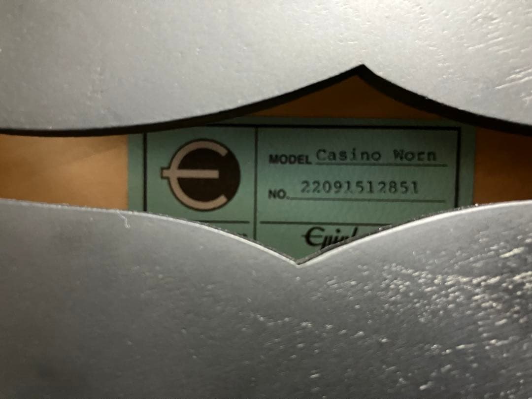 z*t様 Epiphone Casino Worn Ebony ギグバック付　カ