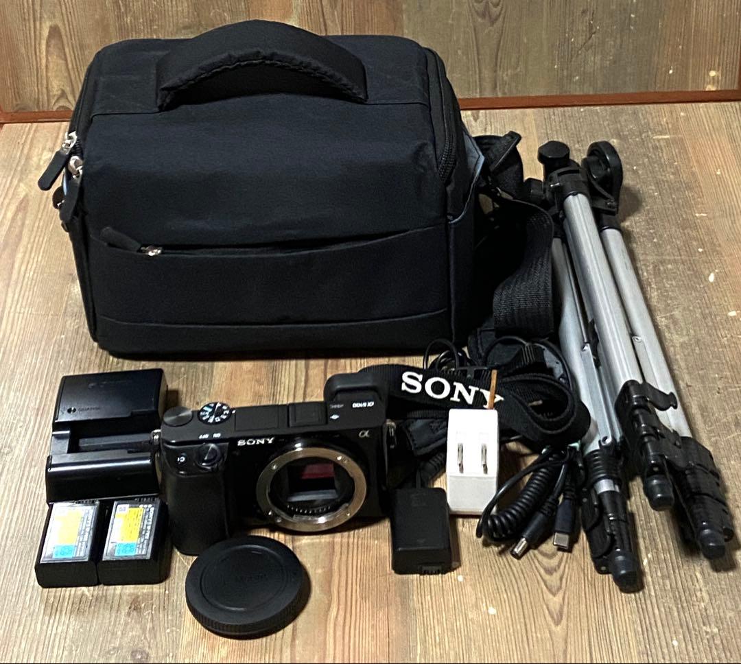 SONY α6100 ソニー　瞳AF リアルタイムトラッキング