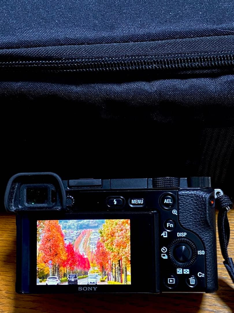 SONY α6100 ソニー　瞳AF リアルタイムトラッキング