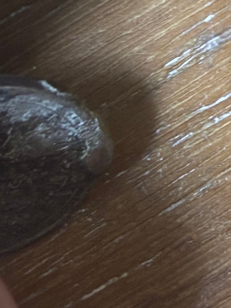 コレクション Error coin