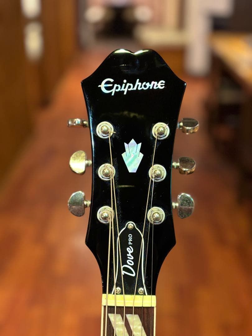 エ*バ様 Epiphone Dove Pro アコースティックギター