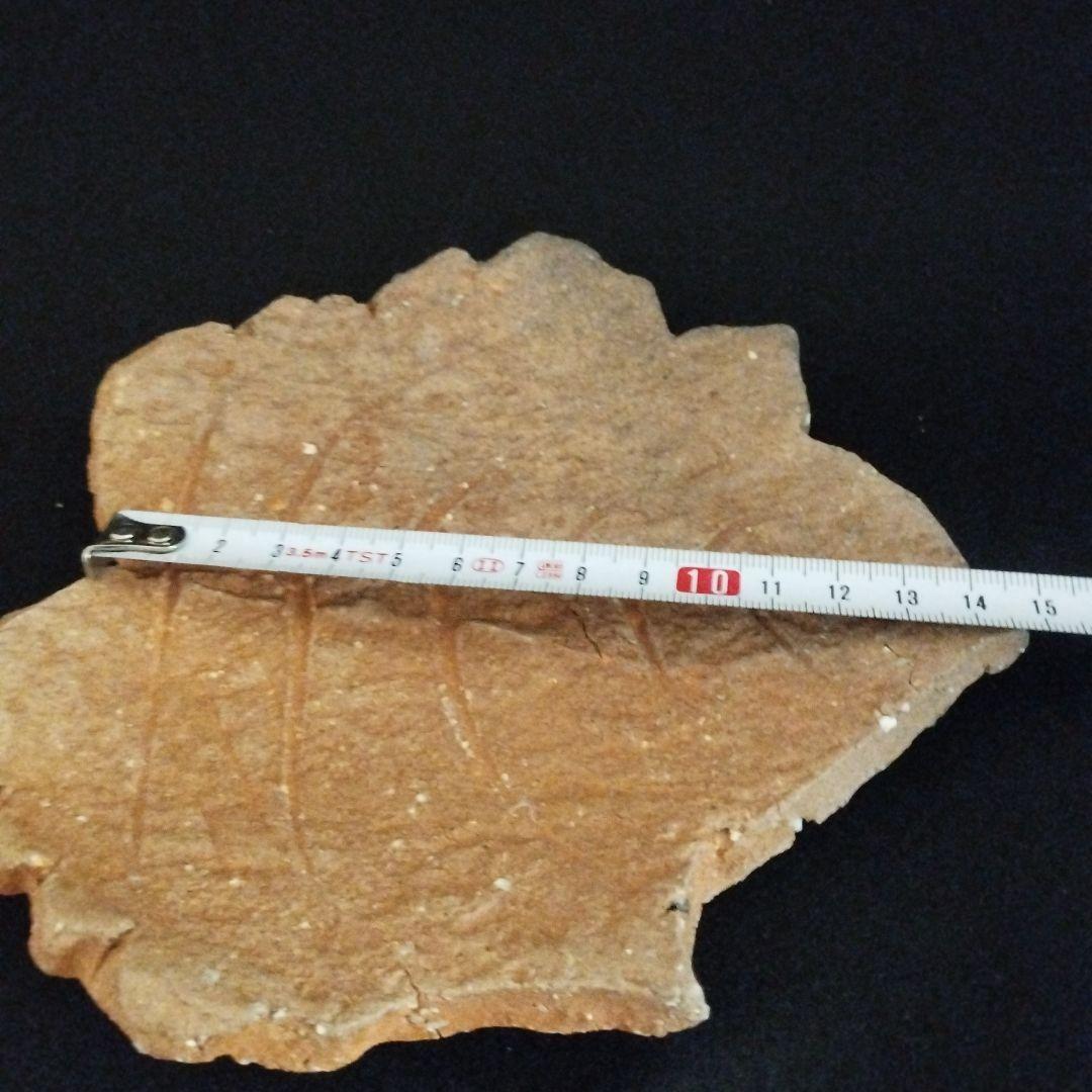 辻清明　信楽　木の葉皿