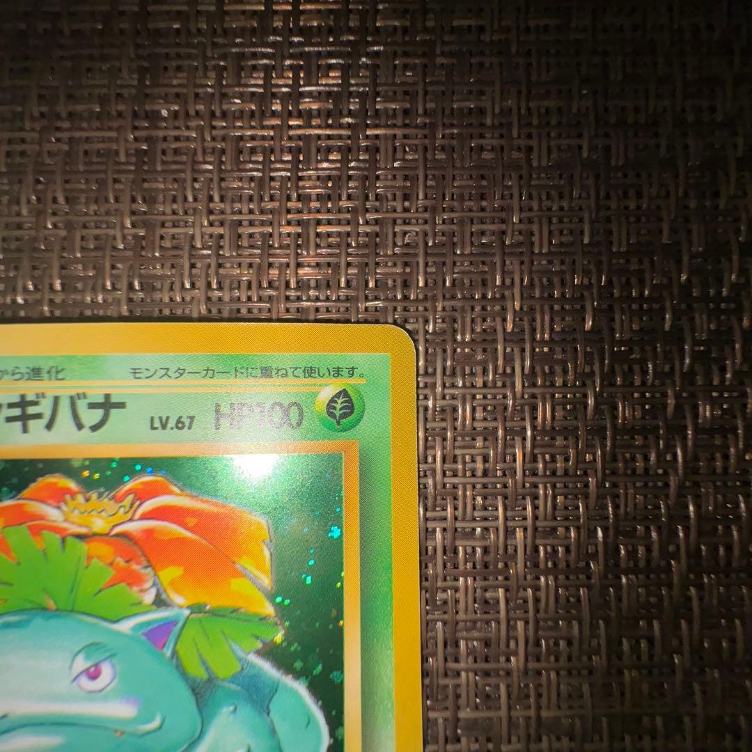 ポケモンカード 旧裏　フシギバナ