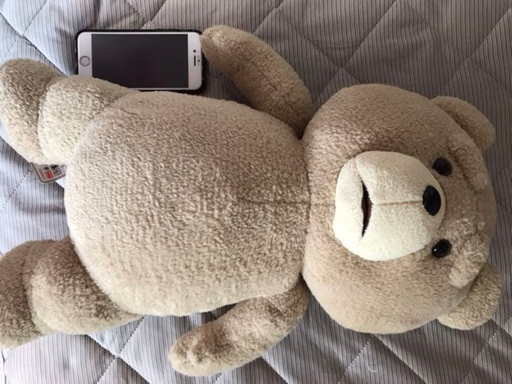テッド　Ted ぬいぐるみ