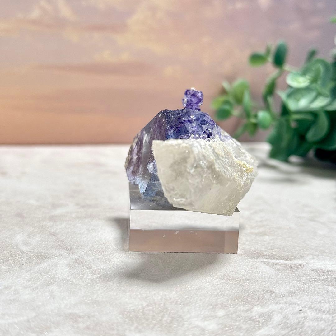 ◆【D018】針状鉱物入りフローライト ヤオガンシャン Aタイプ 原石 鉱物標本