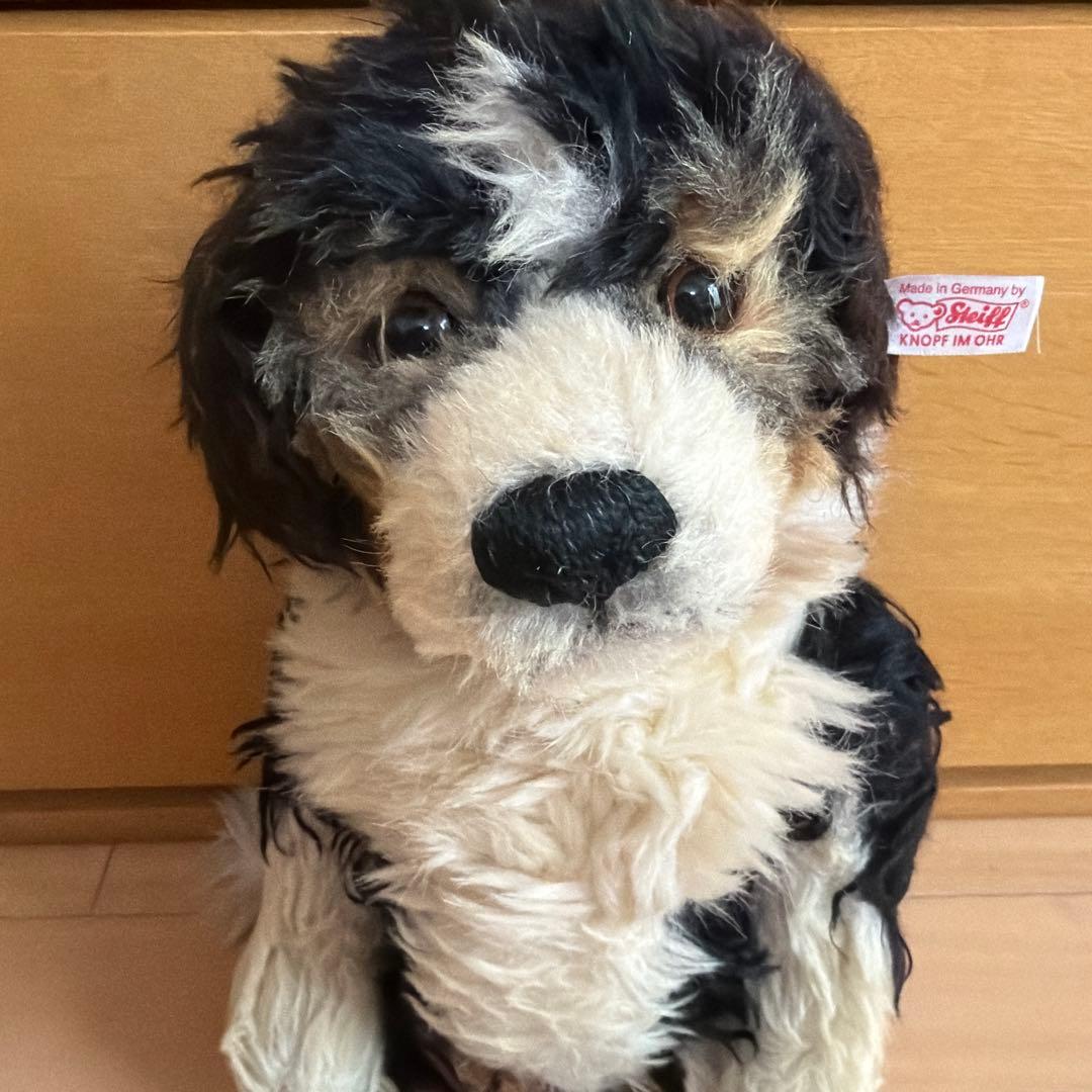 シュタイフ　犬　ぬいぐるみ　オーストラリアンシェパード