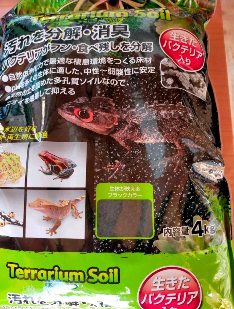 隠れ家付きテラリウム 観葉植物 溶岩石 レイアウト　生体飼育ケージも