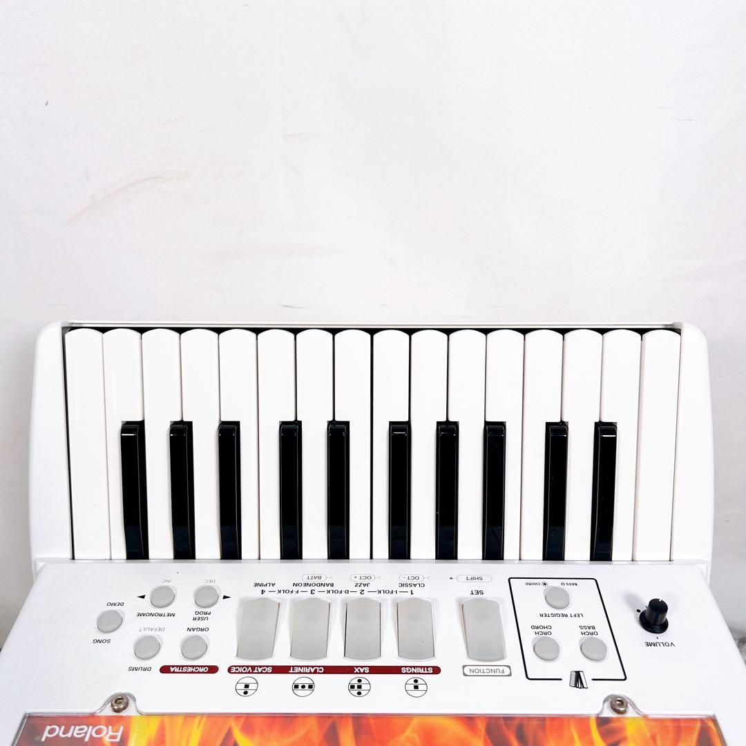 【動作品】Roland ローランド　FR-1 電子アコーディオン