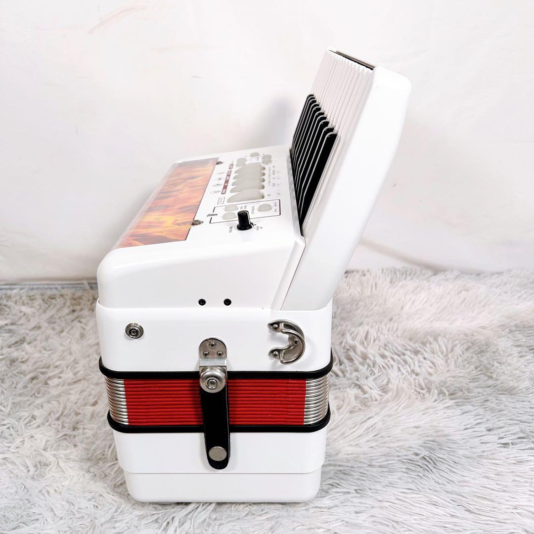 【動作品】Roland ローランド　FR-1 電子アコーディオン