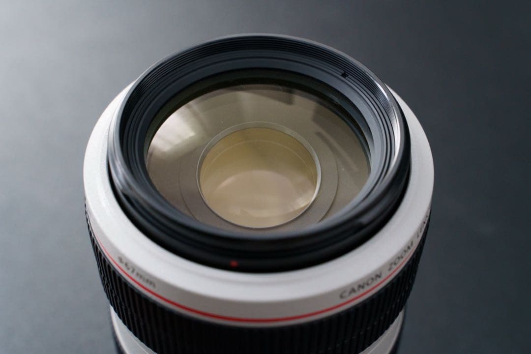 CANON EF70-300mm F4-5.6L IS USM 元箱付き