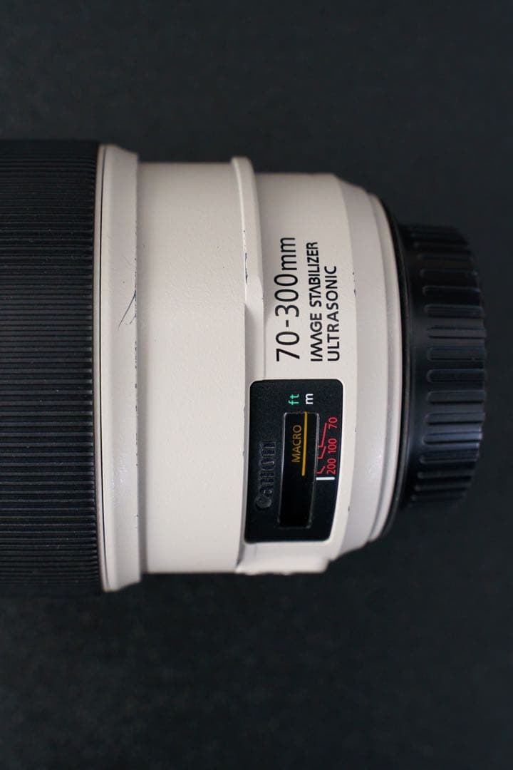 CANON EF70-300mm F4-5.6L IS USM 元箱付き