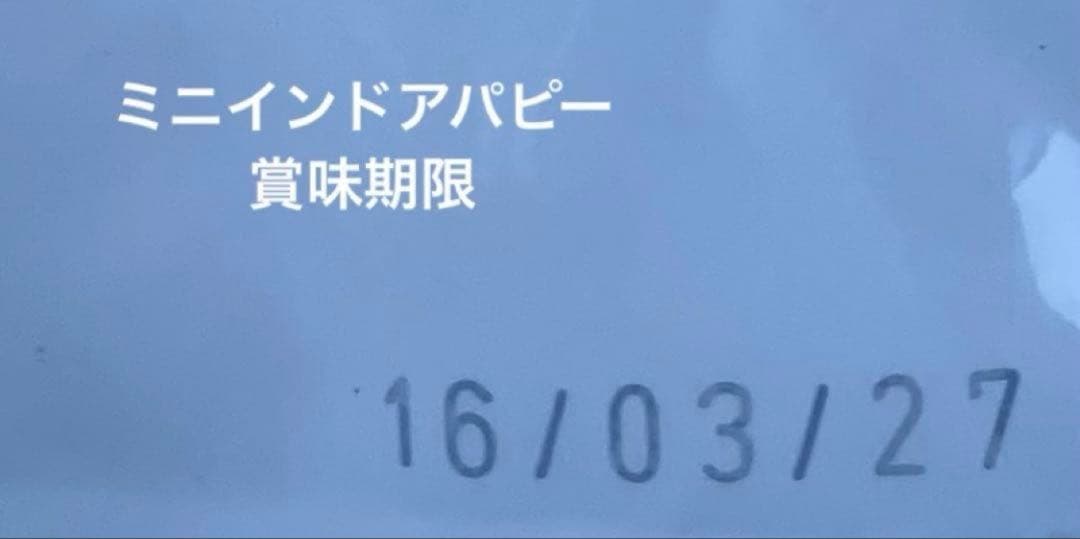  CANIN ミニ インドア パピー 10kg