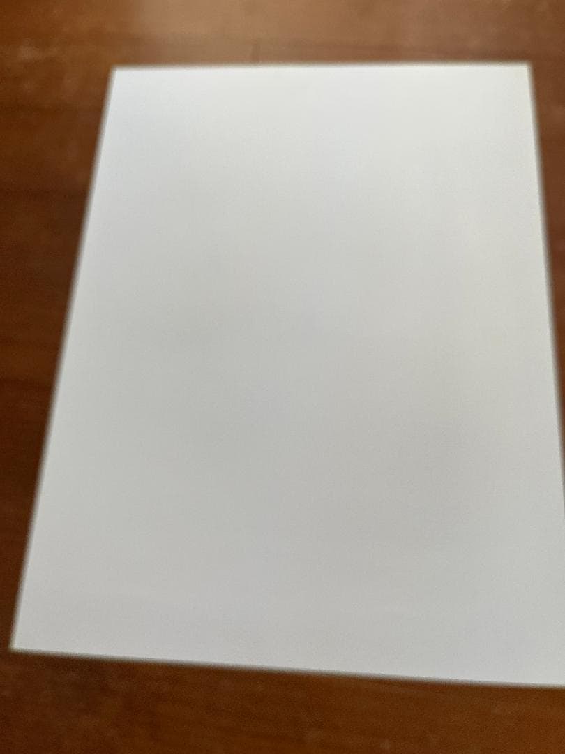 VIN NOUVEAU サビィニャック/SAVIGNAC 1993年