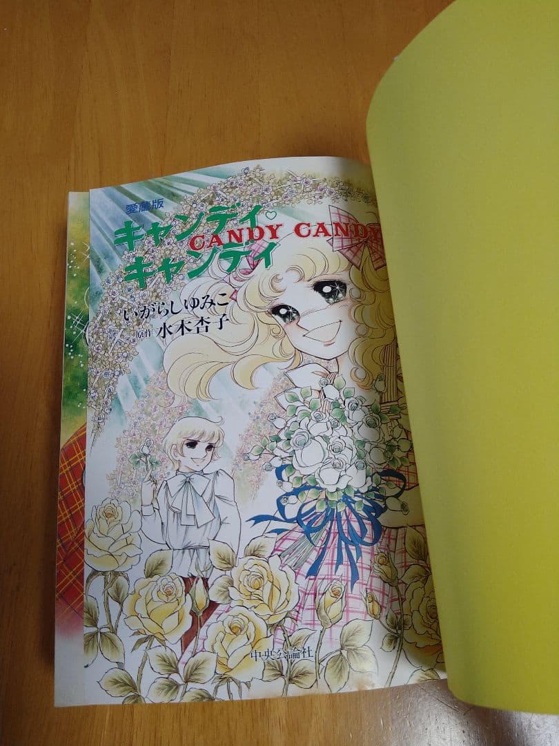 キャンディ・キャンディ 愛蔵版 全1・2巻セット