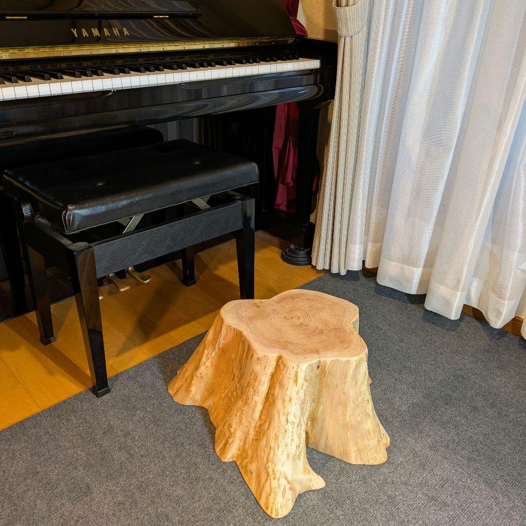 天然椹　サワラ　切り株　丸太　椅子　スツール　テーブル　高さ約23.5㎝