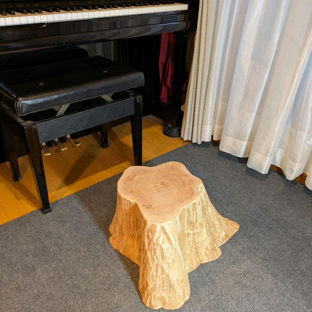 天然椹　サワラ　切り株　丸太　椅子　スツール　テーブル　高さ約23.5㎝