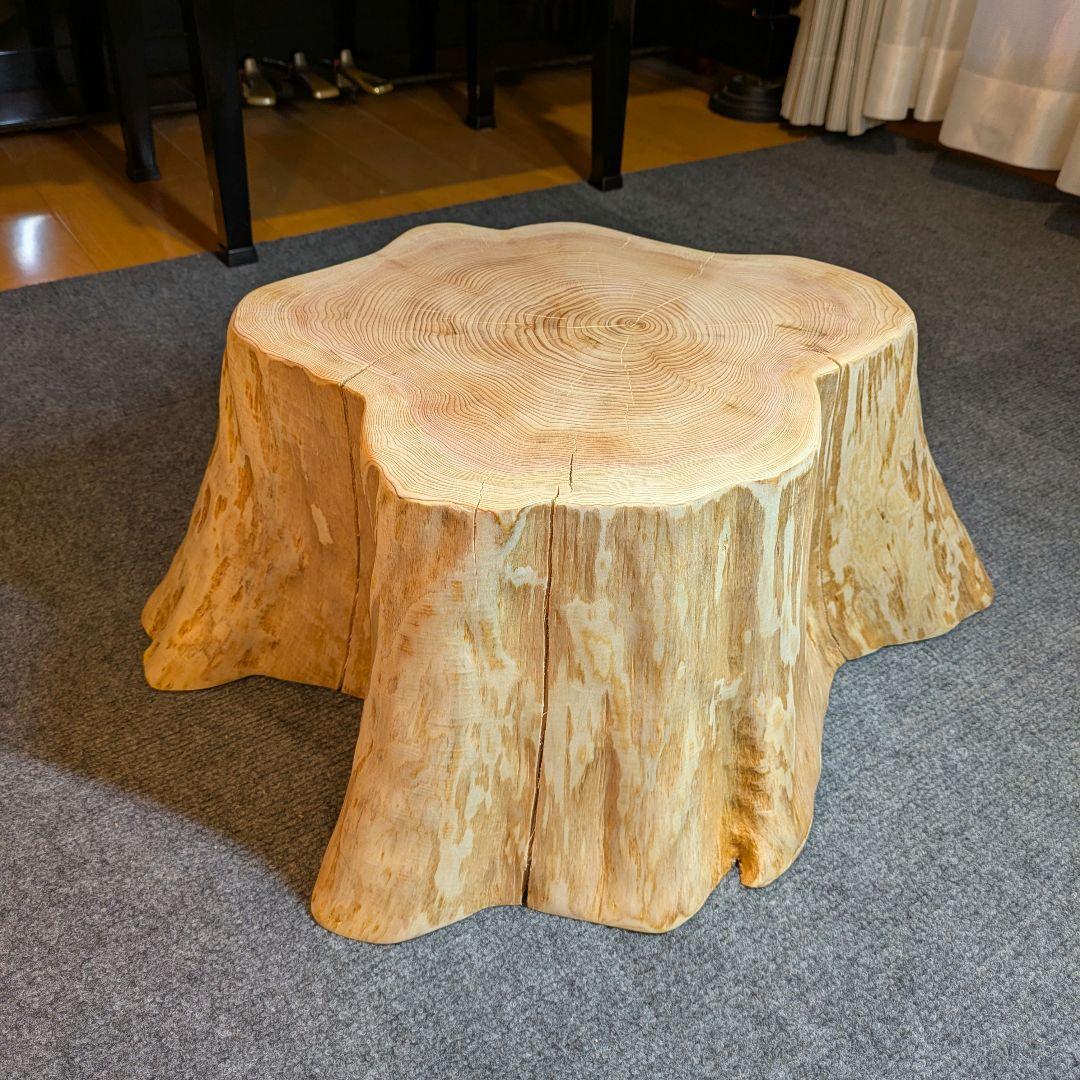 天然椹　サワラ　切り株　丸太　椅子　スツール　テーブル　高さ約23.5㎝