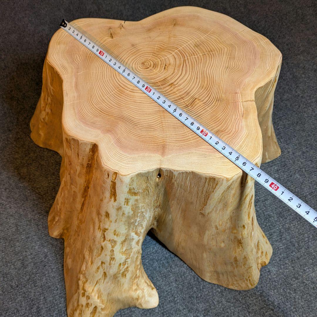 天然椹　サワラ　切り株　丸太　椅子　スツール　テーブル　高さ約23.5㎝