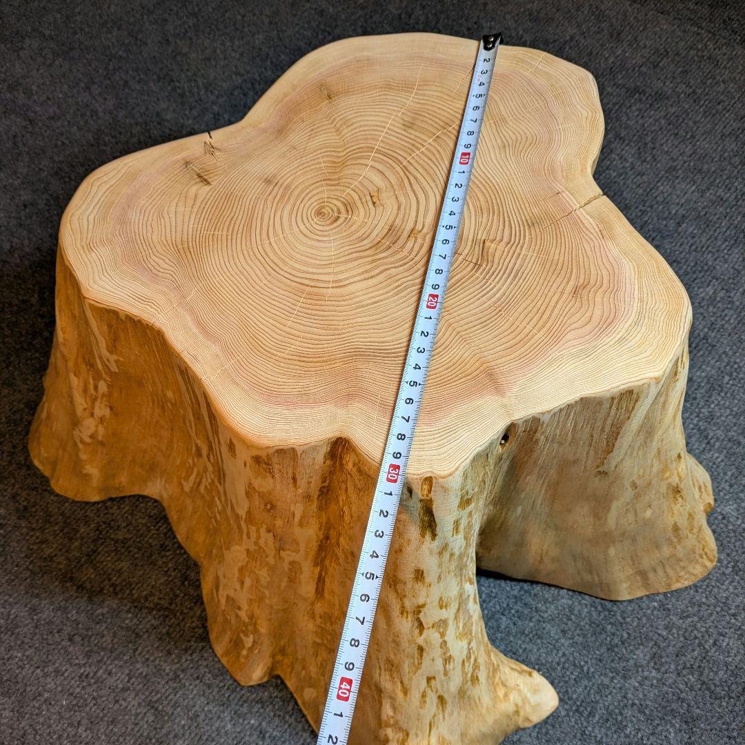 天然椹　サワラ　切り株　丸太　椅子　スツール　テーブル　高さ約23.5㎝