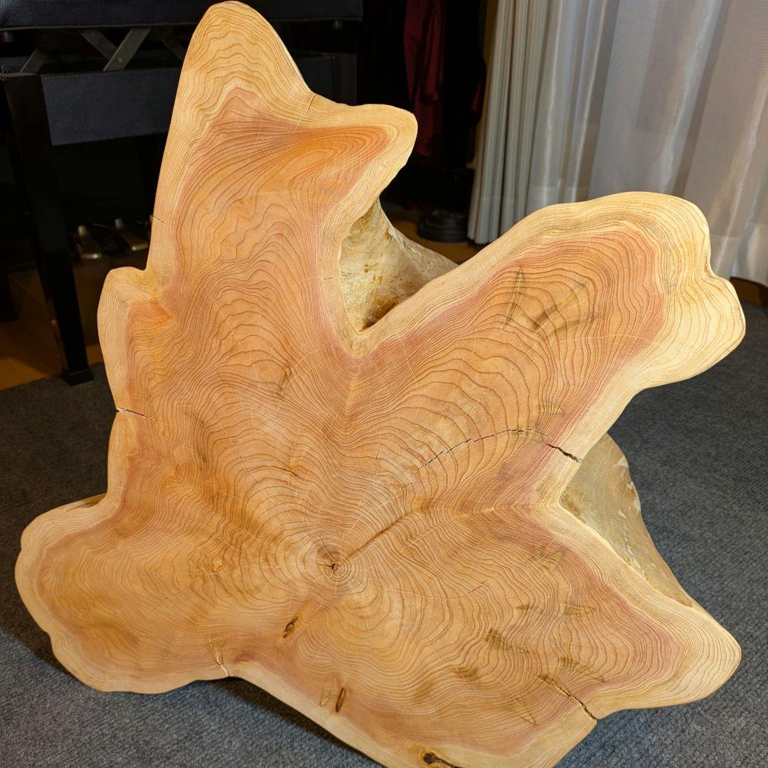 天然椹　サワラ　切り株　丸太　椅子　スツール　テーブル　高さ約23.5㎝