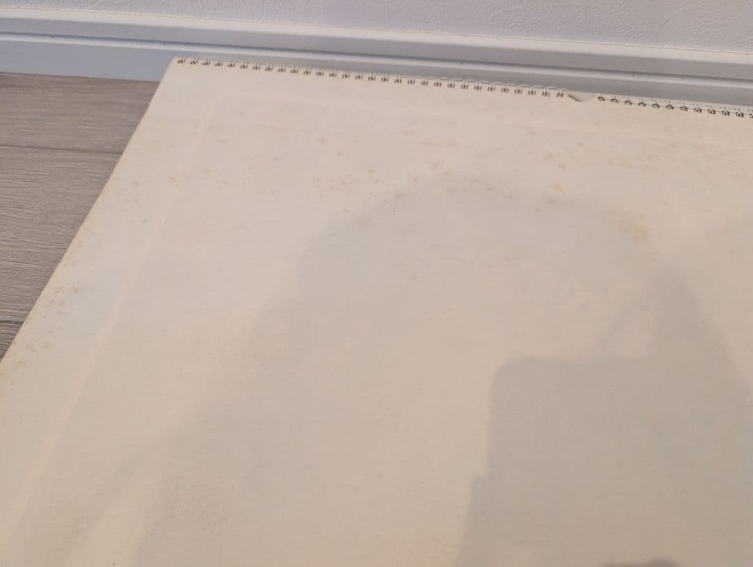 ワンピース 大判 カレンダー 2010 2011 2012 2013 2014