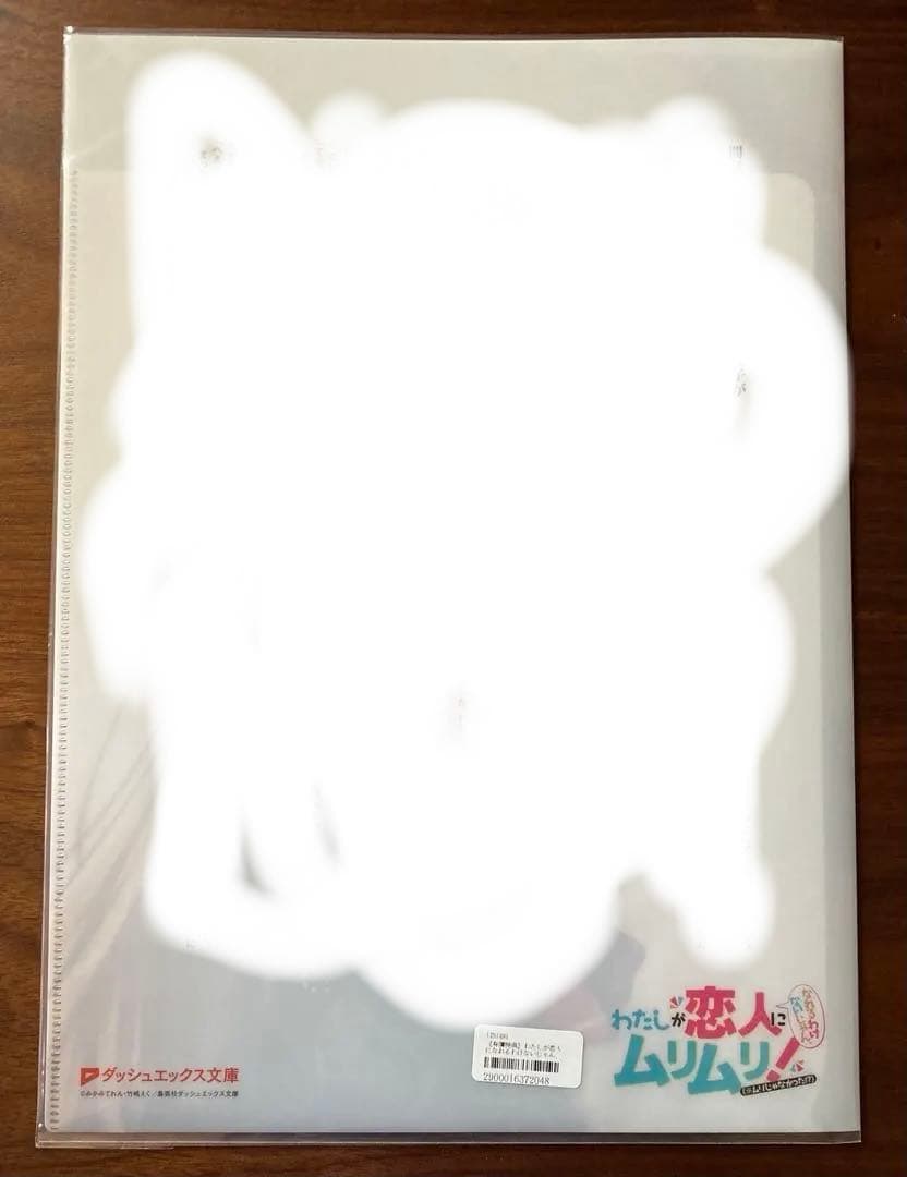 【新品未開封】わたしが恋人になれるわけないじゃん アニメイト特典 クリアファイル