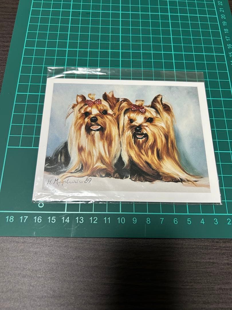 ヨークシャテリアグッズセット