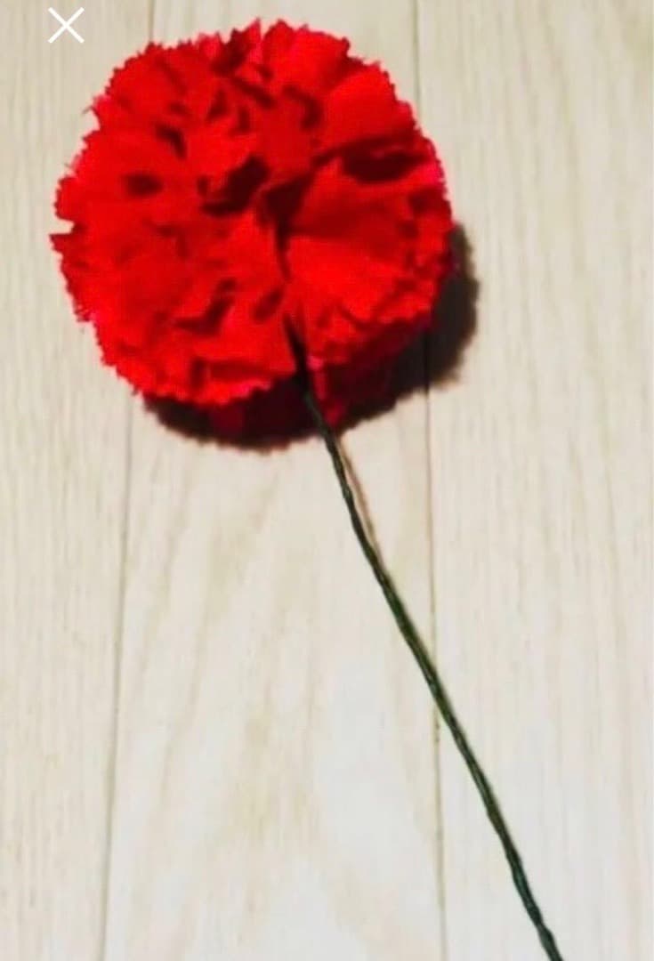 劇団四季　キャッツ