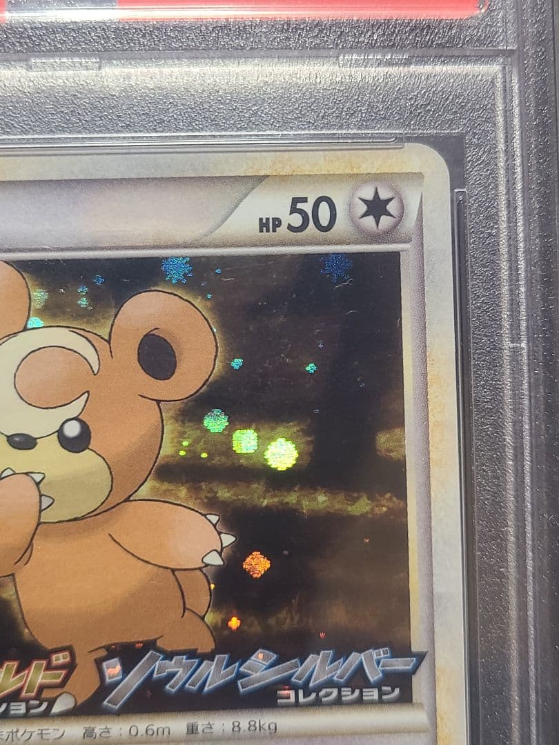 (PSA10) ヒメグマ L-P 010 プロモーションカード