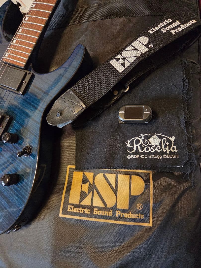 ESP × バンドリ！ M-II Sayo Roselia 氷川紗夜