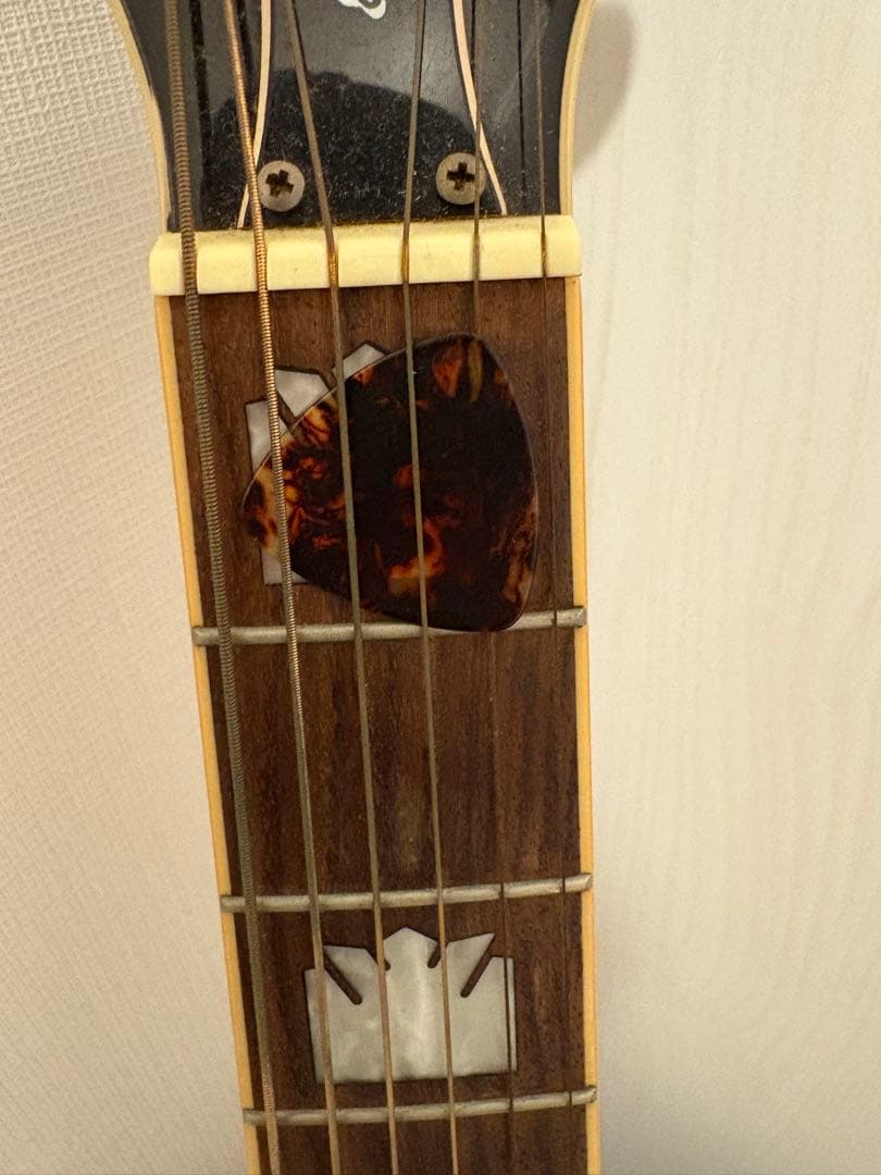 Epiphone EJ-200CE/VS専用ケース付